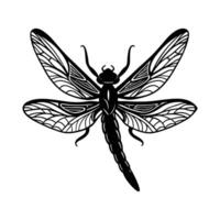 Dragonfly with Vectors