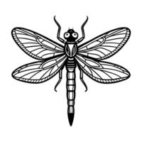 Dragonfly coloring pages dragonfly coloring vector
