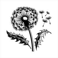 Dandelion Blowing Images vector