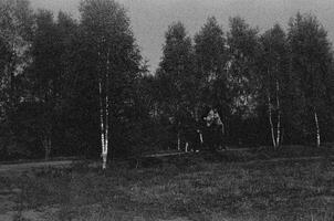 The image shows a peaceful black and white field with trees under a clear sky photo