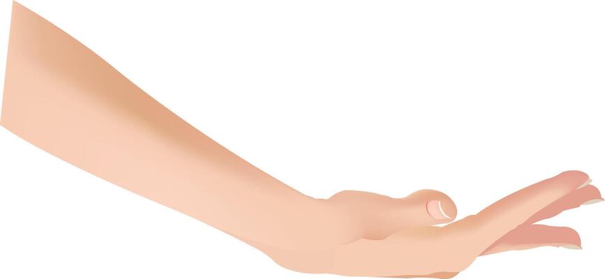 A hand reaching out to touch something
