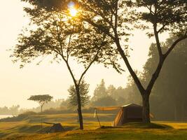 Shadows of towering trees standing in a meadow by the lake and a tent at a beautiful early morning. photo