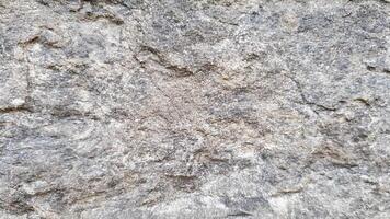 Light grey stone texture with subtle grain patterns, suitable for minimalist, architectural, and industrial backgrounds. photo