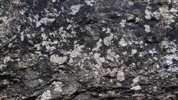 Polished granite texture with subtle vein patterns and natural formations, ideal for geology-inspired designs, architectural stone backgrounds, and interior surface aesthetics photo