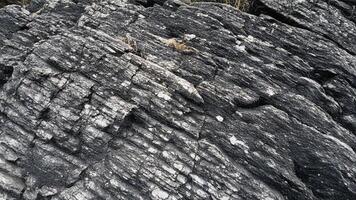 Rough stone texture with linear grooves and intricate patterns, inspired by natural rock formations for geology-themed designs, architecture, and high-resolution stone texture backgrounds photo