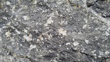 Light marble stone texture with delicate veining and smooth surface details, great for luxury interiors, geological designs, and stone background patterns inspired by natural formations photo