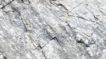 Light stone surface texture with weathered cracks and rough formations, perfect for geological design backgrounds, architectural elements, and outdoor surface patterns photo