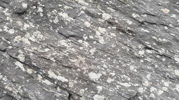 Light granite stone texture with smooth yet weathered surface details, perfect for minimalistic geological designs, stone backgrounds, and abstract patterns inspired by natural formations photo