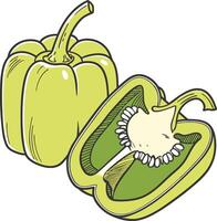 Green Bell Pepper vector