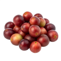 A small pile of camucamu berries, isolated on a transparent background png
