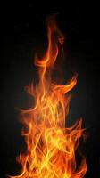 Intense flames with vivid orange and red hues on a black background, heat and energy photo