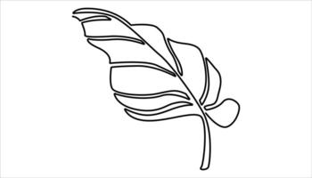 Calla leaf continuous one line drawing. calla laves single line illustration. Hand drawn element for decoration print poster and banner vector