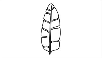 Banana leaf continuous one line drawing. Tropical leaf concept line art. One line drawing illustration of banana leaf vector