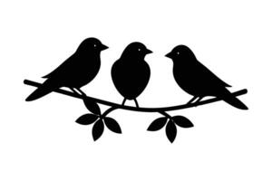Silhouette illustration of three birds and facing each other vector