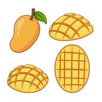 Mango in various shapes and arrangements vector