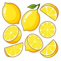 Several lemon in different positions, along with some cut into various pieces. vector