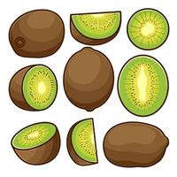Kiwi fruit arranged in various shapes. vector