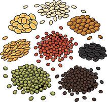 a collection of nine different types of lentils arranged in a circular pattern on a white background. vector