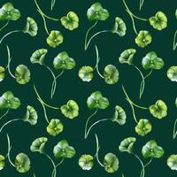 Centella asiatica stems and rounded leaves on watercolor seamless pattern. Geranium, pennywort herbal plants hand drawn. Greenery design on repeating background for package, textile, nature label. vector