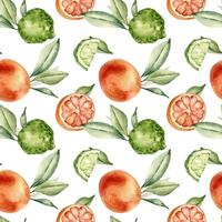 Grapefruit and bergamot citrus fruits with leaves watercolor seamless pattern isolated. Hand drawn summer plants with bright orange green peel in botanical sketch style for textile, package products. vector