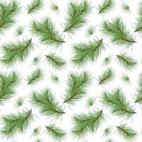 Christmas tree branches on seamless watercolor pattern isolated on white. Pine botanical repeat background. Spruce tree branches for wrapping paper, fabric, wallpapers, and seasonal package vector