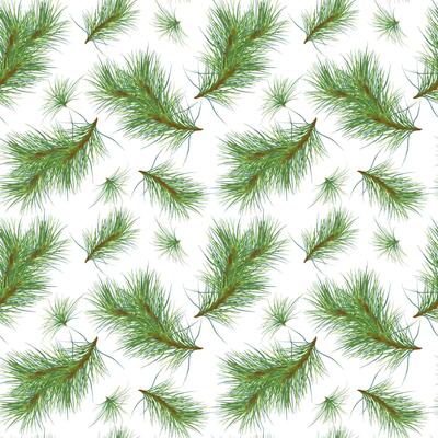 Christmas tree branches on seamless watercolor pattern isolated on white. Pine botanical repeat background. Spruce tree branches for wrapping paper, fabric, wallpapers, and seasonal package