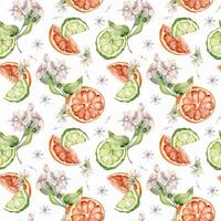 Half grapefruit and bergamot watercolor seamless pattern isolated. Citrus slices and jasmine plant. Hand drawn assorted fruits and flower in botanical sketch for summer floral print, package, textile. vector