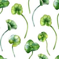 Centella asiatica in botanical style on watercolor seamless pattern. Geranium, pennywort herbal plants hand drawn. Gotu kola greenery endless background for package, label, wrapping, textile vector