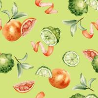 Citrus grapefruit and bergamot fruits slices and leaves on watercolor seamless pattern isolated. Hand drawn ripe plants with bright orange green peel in botanical sketch style for textile, package. vector