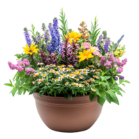Beautiful Mixed Flowers in a Rustic Brown Pot png
