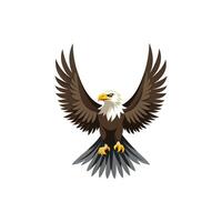 Patriotic Bald Eagle with Sharp Eyes vector