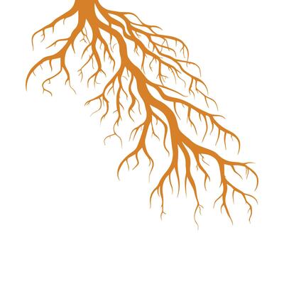 Brown tree roots flat isolated design illustration.