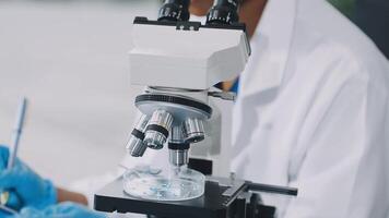 A person in a lab coat is looking at a microscope video