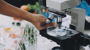 A person is using a microscope to look at food video