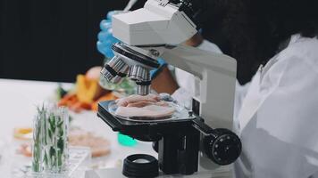 A person in a lab coat is looking at a microscope video