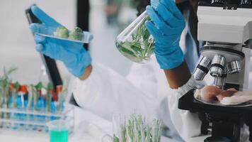 A person in a lab coat is holding a plant video