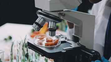 A person is looking at a microscope with food in it video