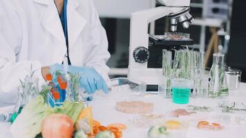 A person in a lab coat is working on a food project video