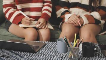 Two women sitting on a couch with a laptop video