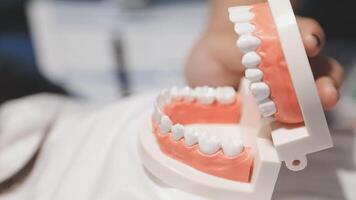 A person holding a model of a tooth in their hand video