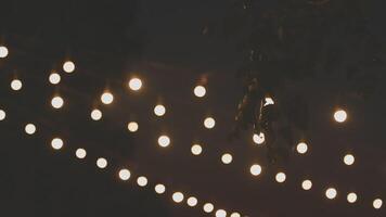 String lights on a tree video