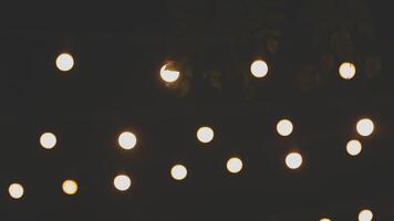 A string of lights hanging from a tree video
