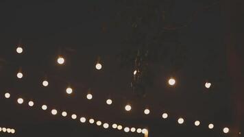 A group of lights hanging from a tree video