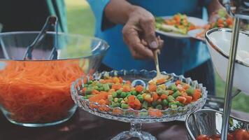A buffet table with a variety of vegetables and salad video