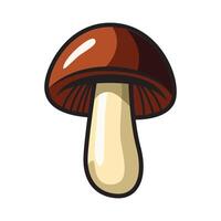 A high-quality illustration of a mushroom, featuring a smooth cap and a sturdy stem with natural textures and shading. vector