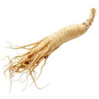 A Single Ginseng Root With Extensive Branching Roots png