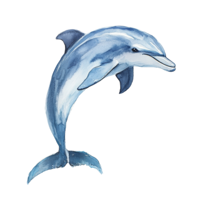 【WAIKEI】Watercolor Puppydolphin Jumping ３色 Dolphin Jumps Through the Waves/Drawing of Dolphin/3rd