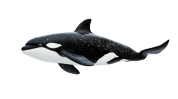 Wireframe Model of a Killer Whale in Three Dimensions png