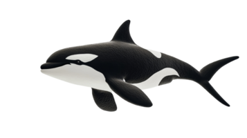 A detailed three dimensional render of an orca whale png