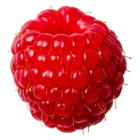 Fresh Red Raspberry Isolated on for Culinary Use png
